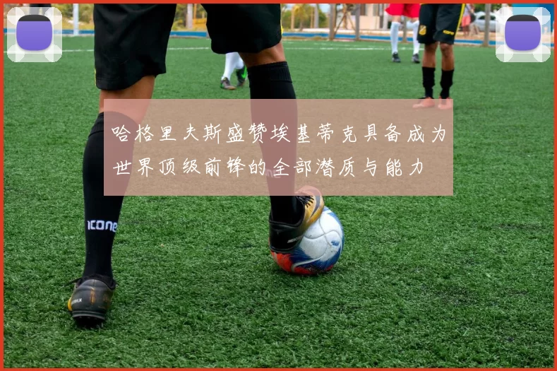 哈格里夫斯盛赞埃基蒂克具备成为世界顶级前锋的全部潜质与能力
